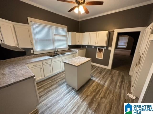 kitchen featuring ceiling fan, sink, ornamental molding, white cabinets, and dark wood-type flooring