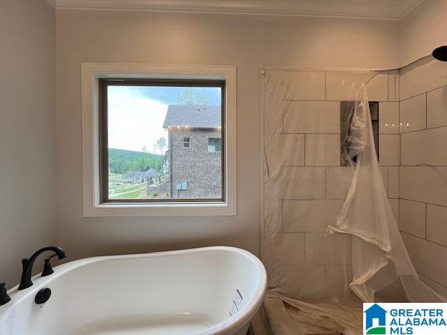 bathroom featuring a washtub