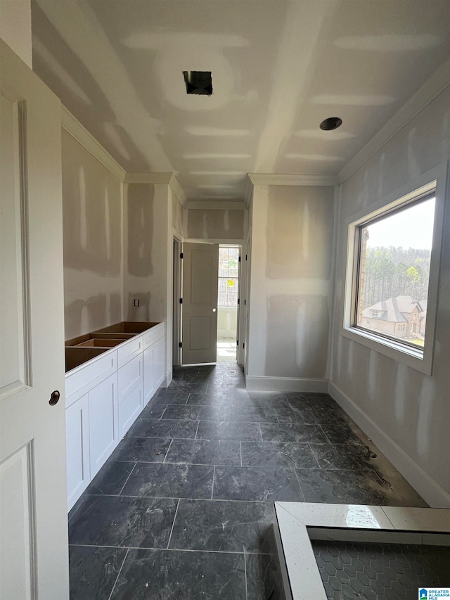 bathroom with a wealth of natural light and crown molding