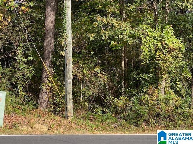 0 Sanie Rd Unit 1, Odenville AL, 35120 land for sale