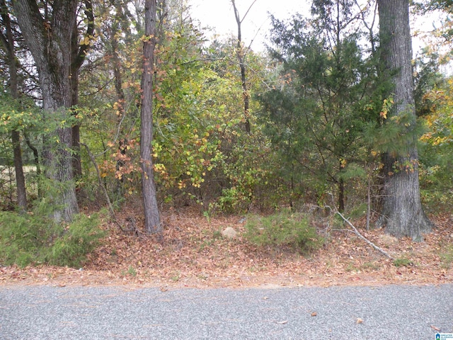 0 Fulton Gap Rd Unit 0, Sylacauga AL, 35150 land for sale