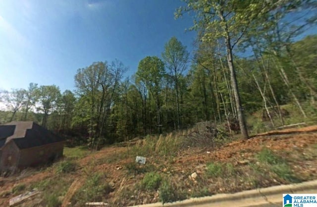 Listing photo 2 for 0.1 Hickory Valley Rd Unit 15, Argo AL 35173