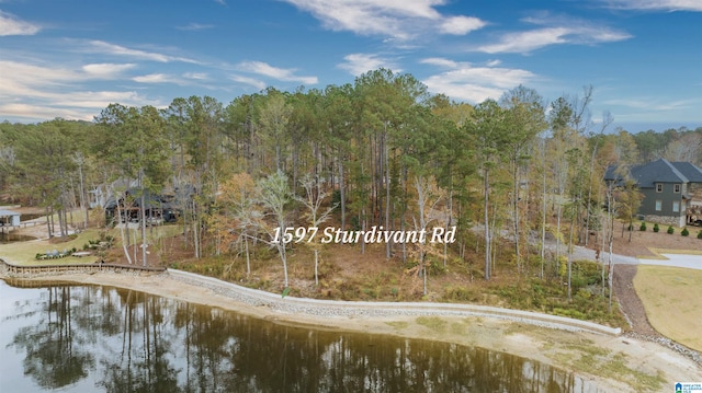 1597 Sturdivant Ln Unit 4, Jacksons Gap AL, 36861 land for sale