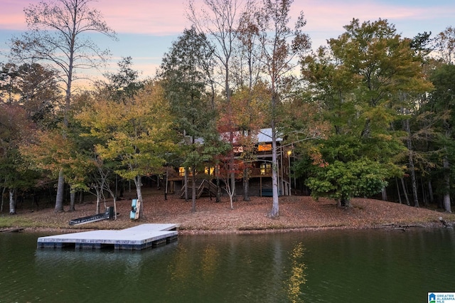 dock area featuring a water view