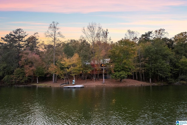 view of water feature