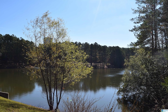 Listing photo 2 for 201 Leray Dr Unit 123, Calera AL 35040