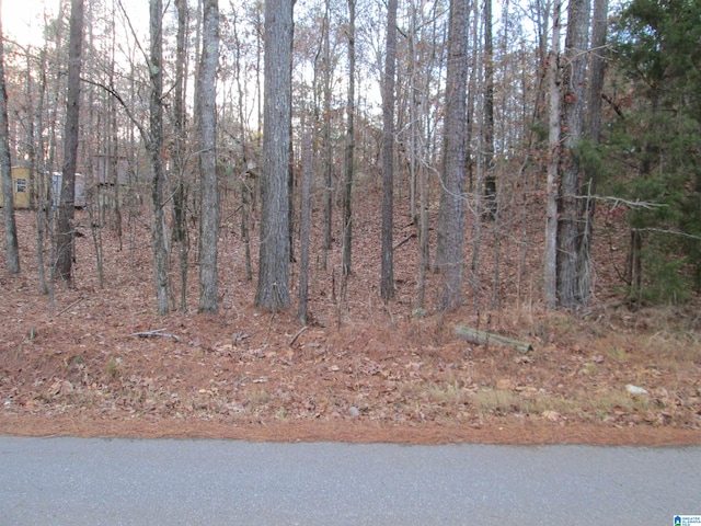 Parsons Dr Lot # 3, Vance AL, 35490 land for sale