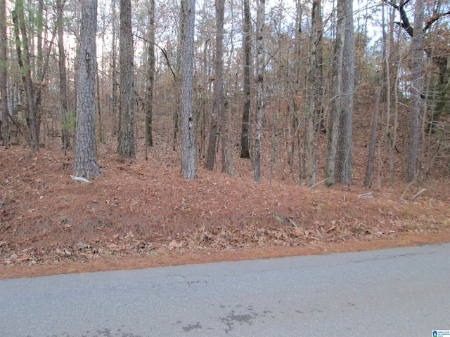 Listing photo 2 for Parsons Dr Lot # 3, Vance AL 35490