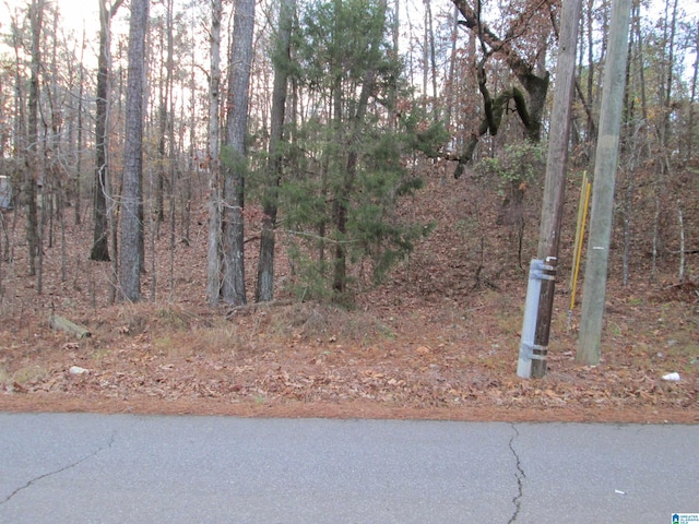 Listing photo 3 for Parsons Dr Lot # 3, Vance AL 35490