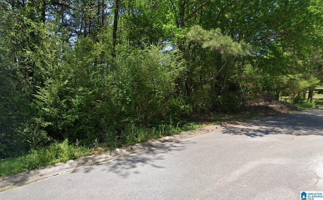 2516 Janice Cir Unit 50, Birmingham AL, 35235 land for sale