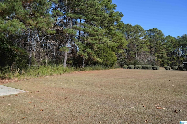 Listing photo 2 for 000 9th St NW Unit 000, Alabaster AL 35007