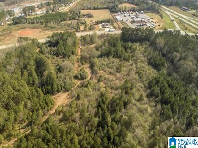 12493 Stemley Rd Unit 30Acres, Lincoln AL, 35096 land for sale