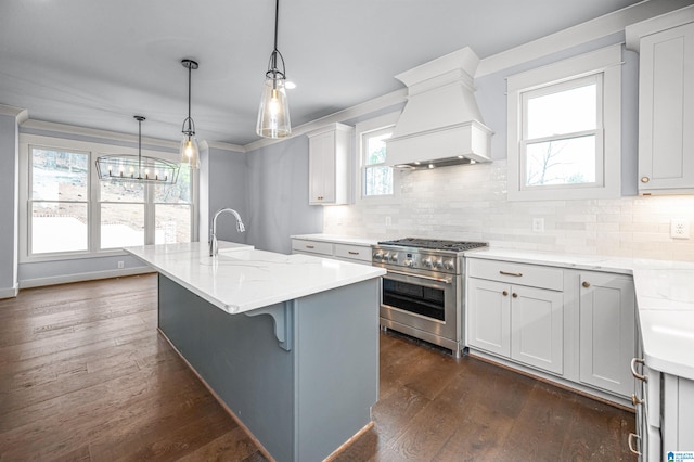 kitchen with stainless steel range, dark wood-type flooring, custom exhaust hood, and decorative backsplash