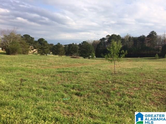 8609 Creek Run Unit 29, Bessemer AL, 35023 land for sale