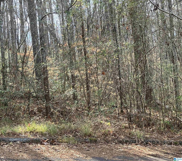 00 Woodland Hills Dr Unit 9 & 11, Springville AL, 35146 land for sale