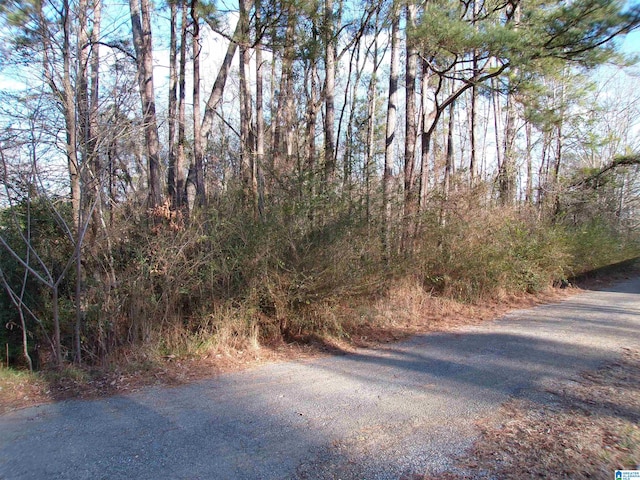 LOT51 Broadleaf Dr Lot 51Unit 2, Lincoln AL, 35160 land for sale