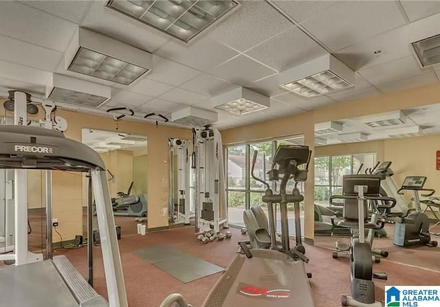 1155 12th St Unit 304, Tuscaloosa, AL 35401