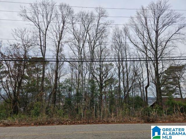 1424 Shades Crest Rd Unit 22, Hoover AL, 35226 land for sale