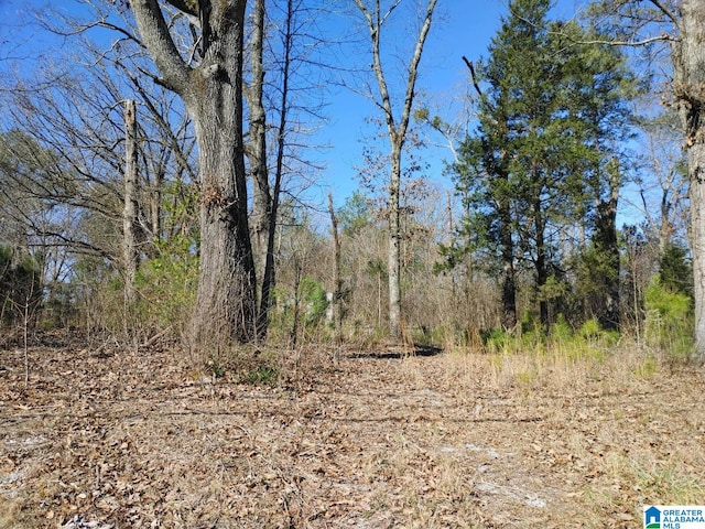 Listing photo 2 for 3301 Talladega Hwy Unit 0, Sylacauga AL 35150