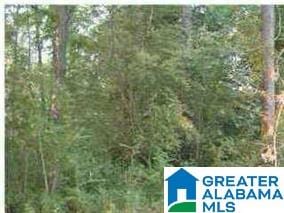 0 Lakeside Ln Unit 00, Alpine AL, 35014 land for sale