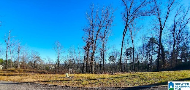 5009 Altamont Rd S Unit 10, Birmingham AL, 35222 land for sale