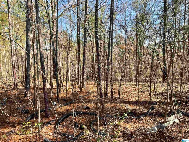 0 Wilson Glen Dr Unit 49, Wilsonville AL, 35186 land for sale