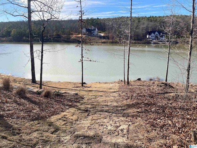 901 Southledge Trce Unit Lot-1-664, Birmingham AL, 35242 land for sale