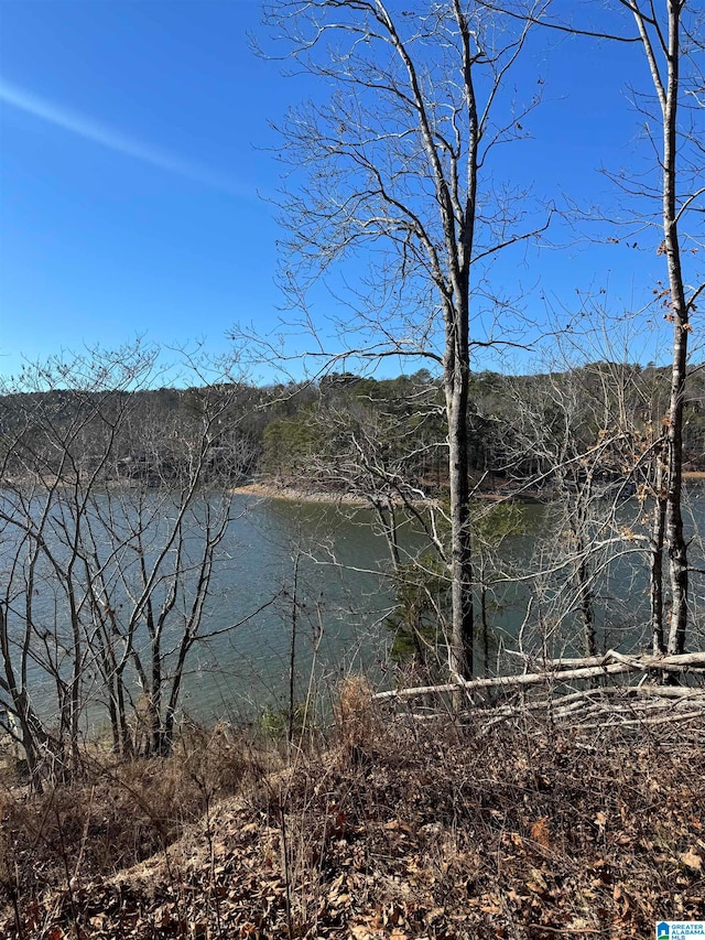 780 County Road 864 Unit 0, Crane Hill AL, 35053 land for sale