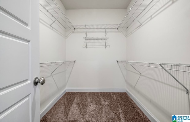 spacious closet with dark carpet