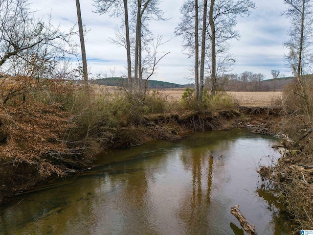 Listing photo 3 for County Road 15 Unit 157Acres, Wedowee AL 36278