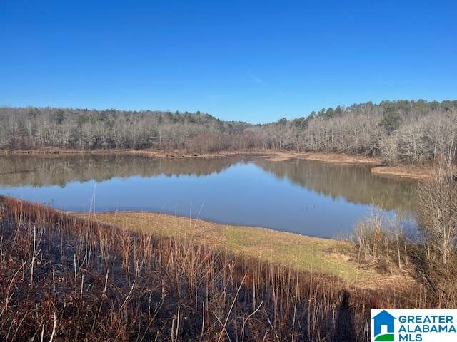 Watershed Rd Unit 46Ac, Cragford AL, 36255 land for sale