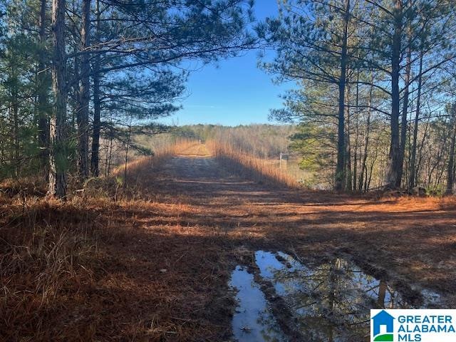 Listing photo 3 for Watershed Rd Unit 46Ac, Cragford AL 36255