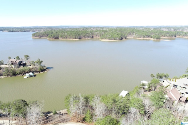 0 Aqua Dr Unit 37, Wedowee AL, 36278 land for sale