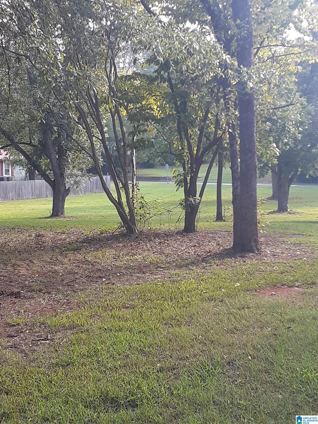 AVONDALEAVE Avondale Ave Unit 00, Sylacauga AL, 35150 land for sale