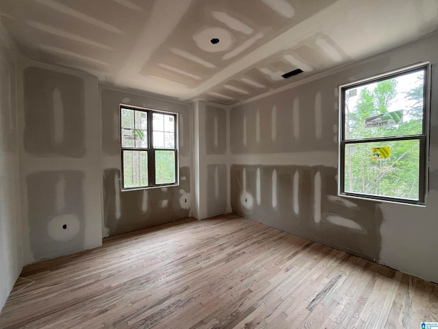 unfurnished room featuring a wealth of natural light and light hardwood / wood-style flooring