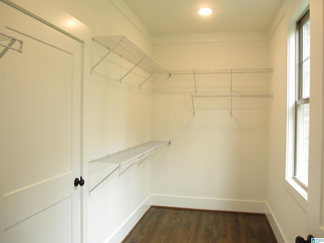 walk in closet featuring dark hardwood / wood-style floors