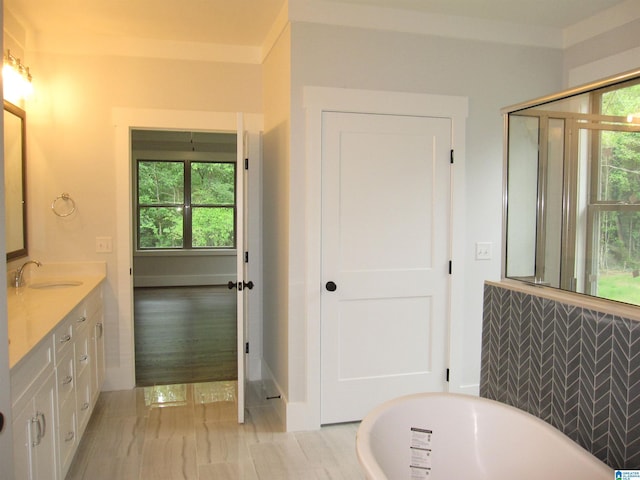 bathroom with a tub to relax in and vanity