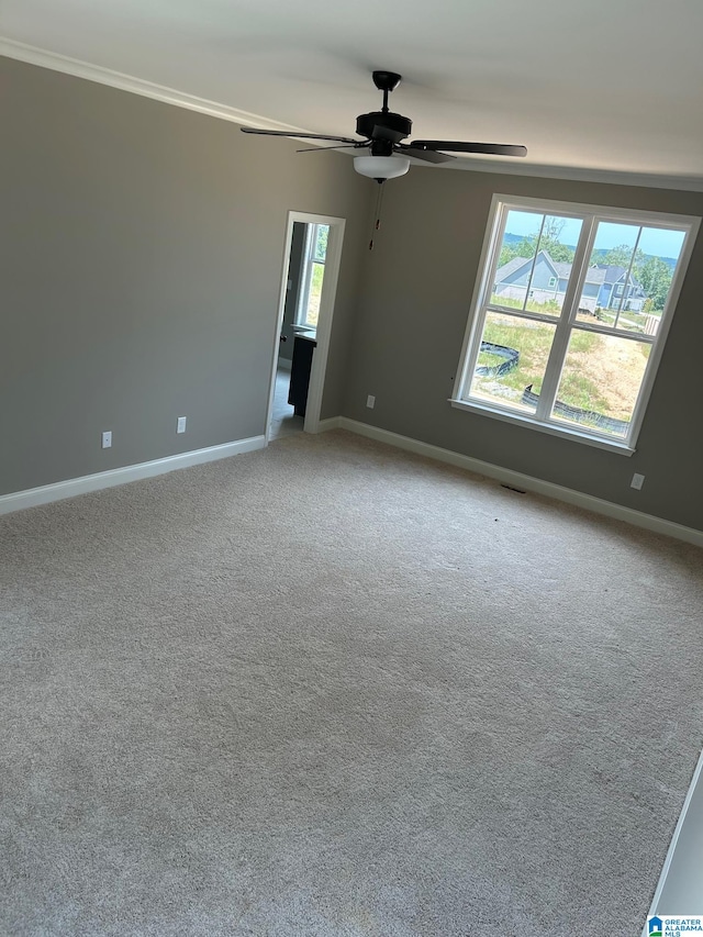 empty room with carpet flooring, a wealth of natural light, and ceiling fan