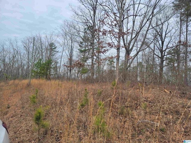 LOT7 County Road 116 Unit 7, Heflin AL, 36264 land for sale