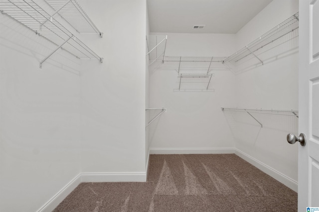 walk in closet featuring carpet flooring