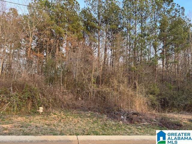 110 Heights Way Unit 87, Pell City AL, 35125 land for sale