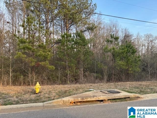 Listing photo 3 for 108 Heights Way Unit 88, Pell City AL 35125