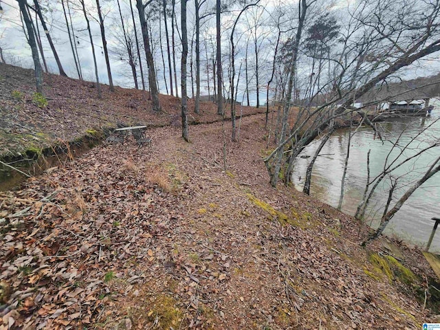 Listing photo 2 for LOT8 Eagle Mountain Rd Unit 8, Rockford AL 35136