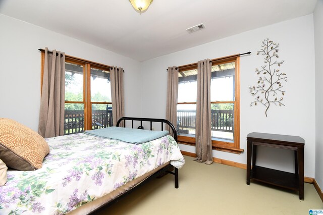 carpeted bedroom with multiple windows and access to exterior