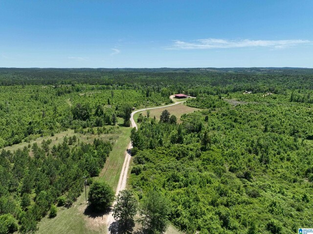 view of drone / aerial view