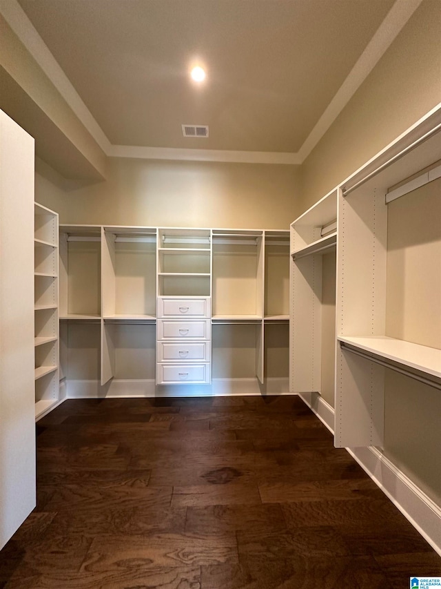 walk in closet with dark wood-type flooring