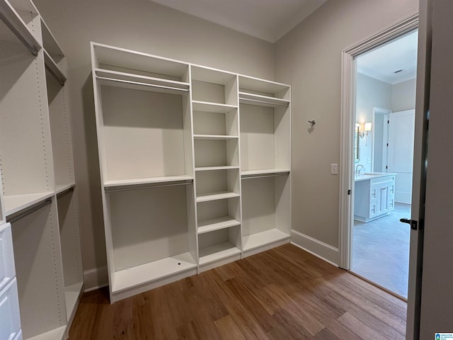 walk in closet with wood-type flooring