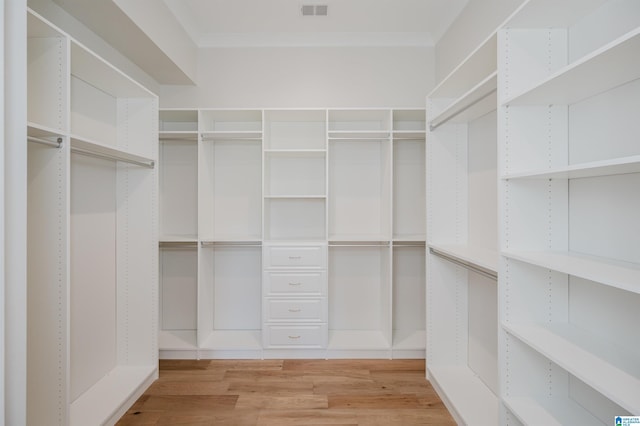 spacious closet featuring light wood-type flooring and visible vents