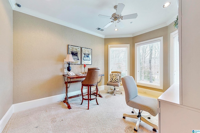 office featuring crown molding, carpet, and ceiling fan