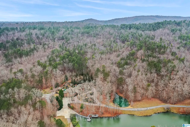 bird's eye view with a water and mountain view